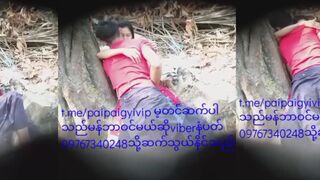 သစ်ပင်ကို ကွယ်ပြီး ဆွဲနေတဲ့ အတွဲ (ချောင်းရိုက်)